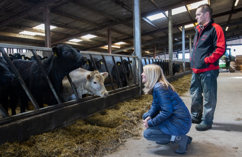 Esther meets some of the herd