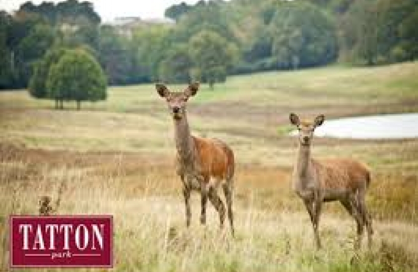 Tatton Park (photo from Tatton Park website)