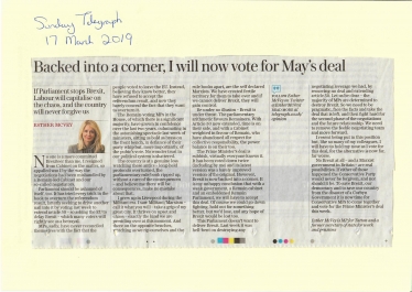 My article in the Sunday Telegraph