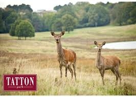 Tatton Park (photo from Tatton Park website)